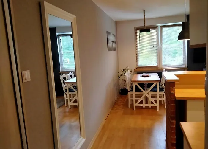 Zaciszny Apartament Pod Lasem 索波特