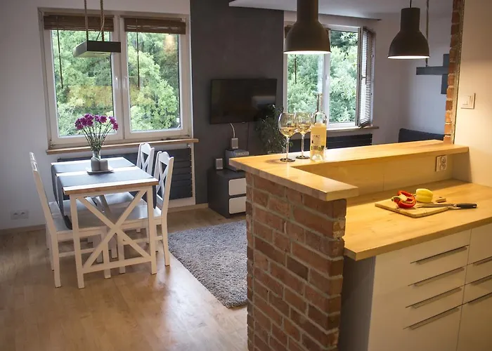 Zaciszny Apartament Pod Lasem 公寓 *