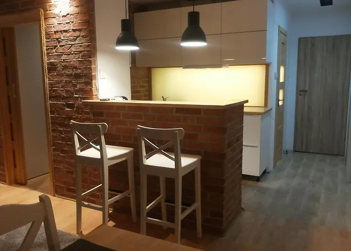 Zaciszny Apartament Pod Lasem 索波特